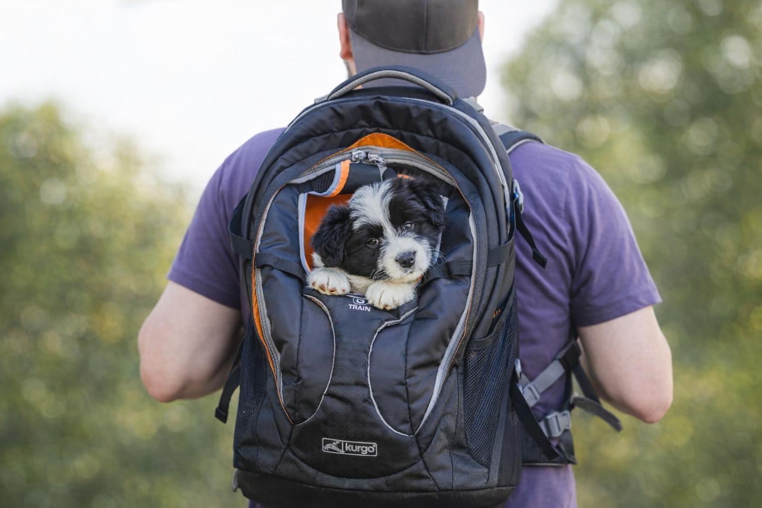 dog carrier backpack featured