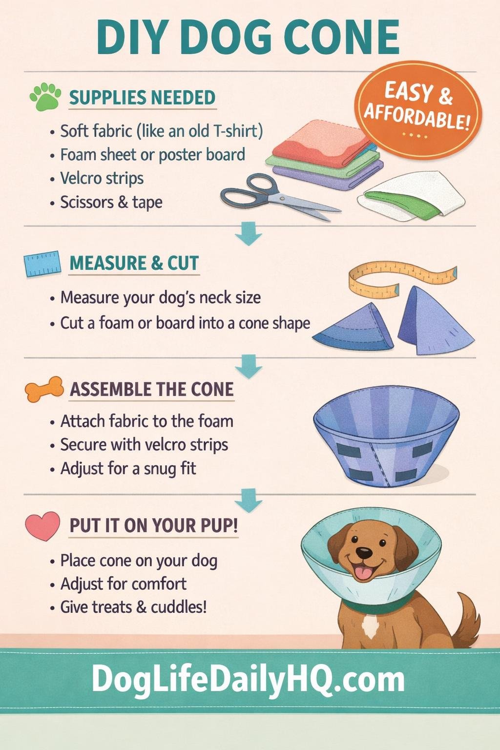 diy dog cone aesthetic. clean infographic des 1